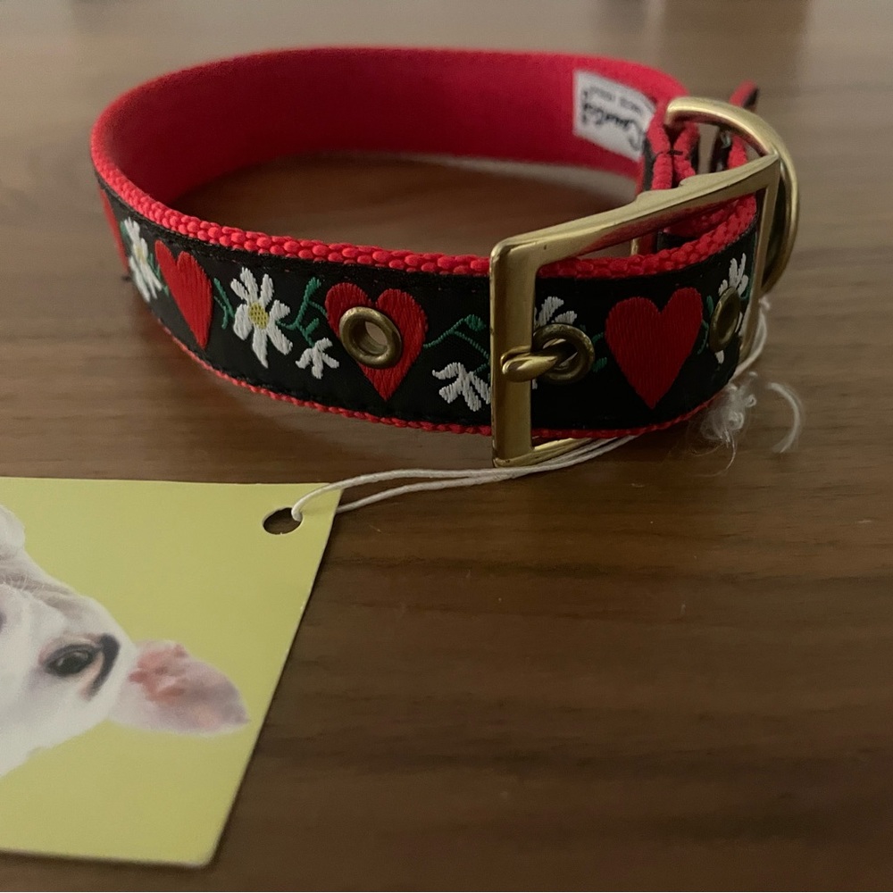 New Medium Upcountry Dog Collar